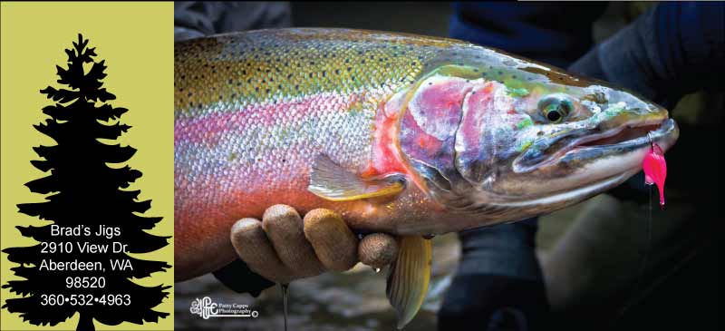 Buy Steelhead and Salmon Jigs